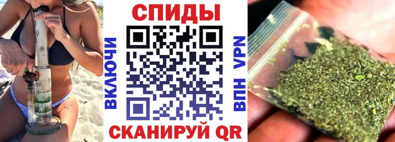 сколько стоит  Куса  БУТИРАТ буратино 