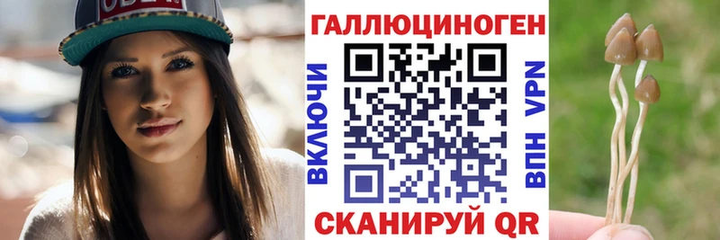 darknet Telegram продажа наркотиков Куса Псилоцибиновые грибы Cubensis